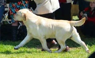 Chablais Rendez-Vous